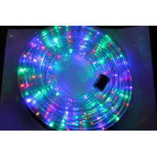 Ce RoHS Approved Christmas Strip Light (SRRLS-2W)